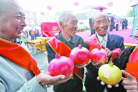 2006年荥阳市第二届河阴石榴文化节